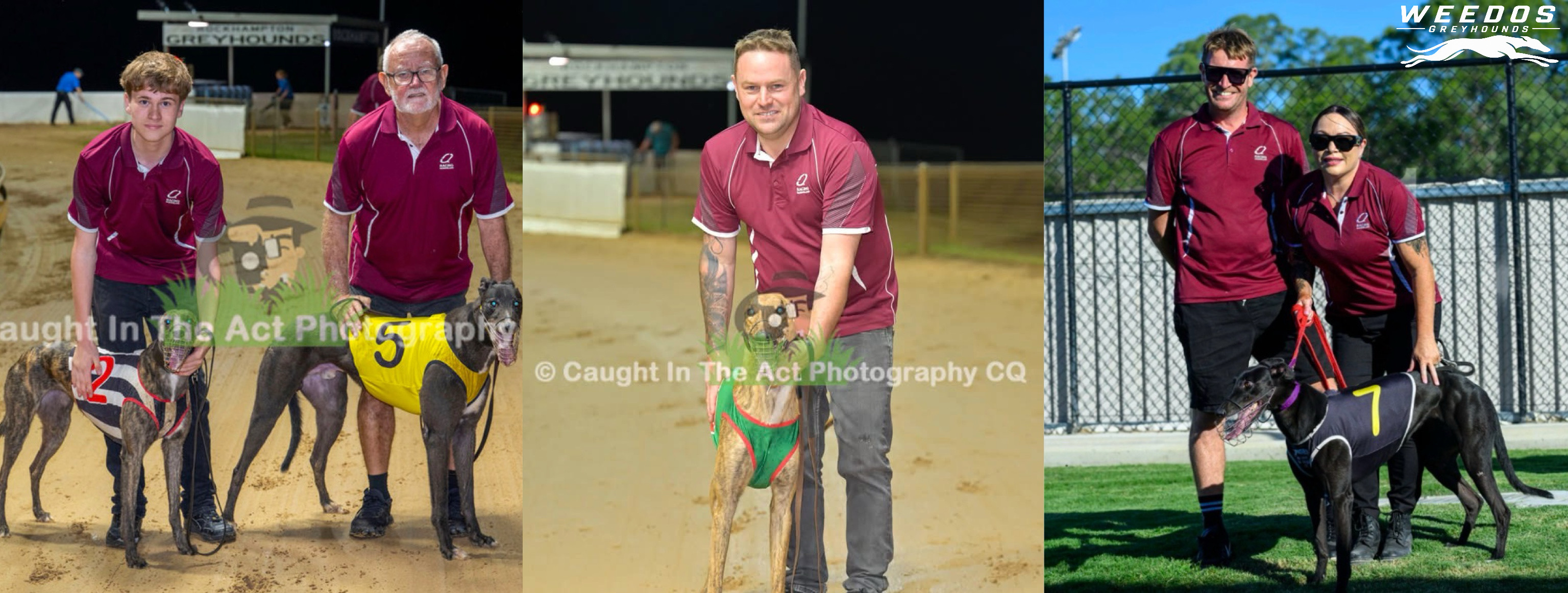 Weedos Greyhounds team with greyhounds